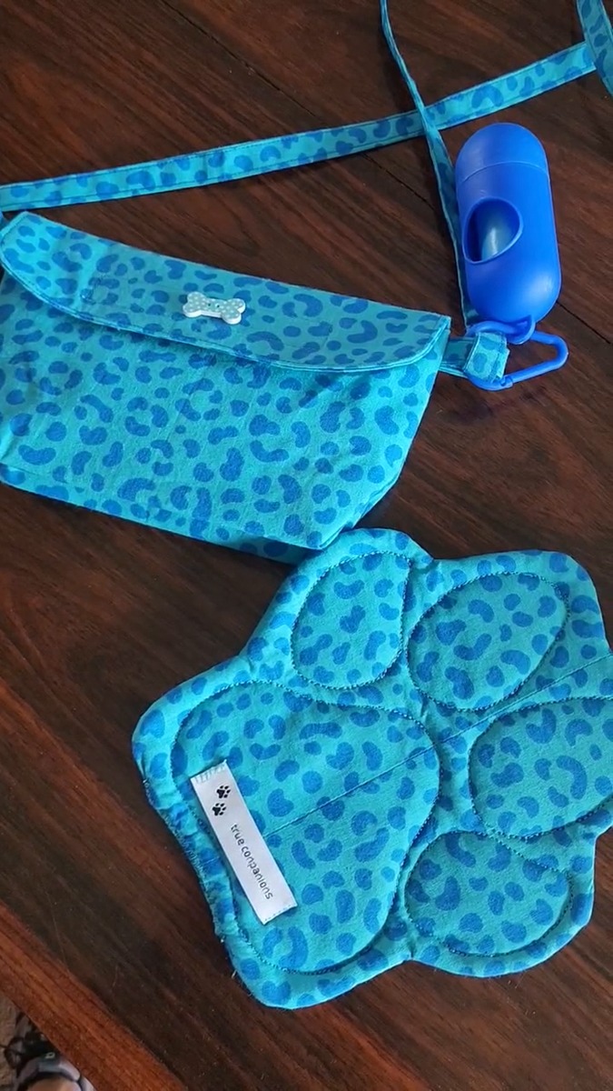 Turquoise leopard walking set